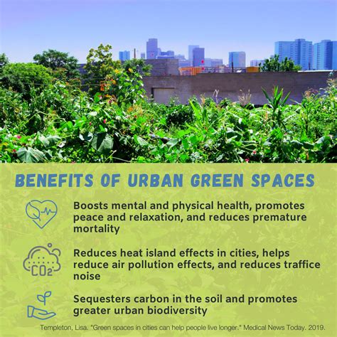 Understanding Green Energy And Its Benefits For Urban Areas