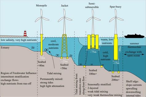 What Is The Environmental Impact Of Offshore Wind Power?