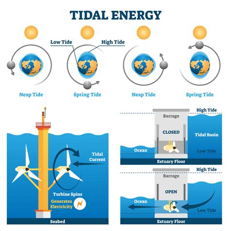 What Is Tidal Energy and How It Works