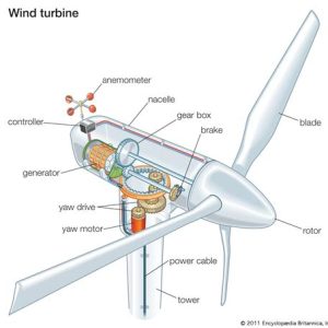 Wind turbine: what it is, parts and working